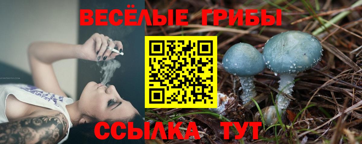 Псилоцибиновые грибы прущие грибы  Вход с VPN  Псилоцибиновые грибы ЛСД  Мичуринск 